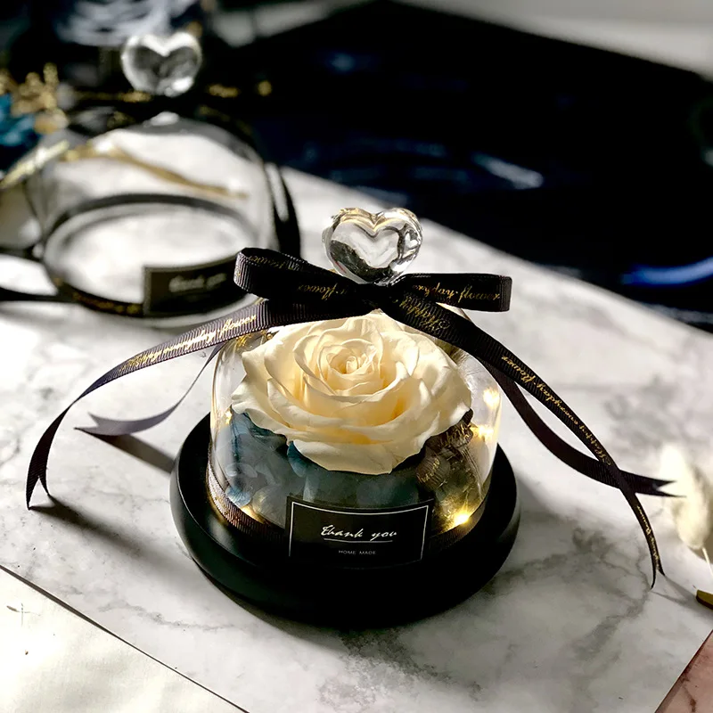 美女と野獣の香り,特別なガラスのドームの下で永遠のバラ,ロマ - Decor Timeless Lighting のレビューと価格
